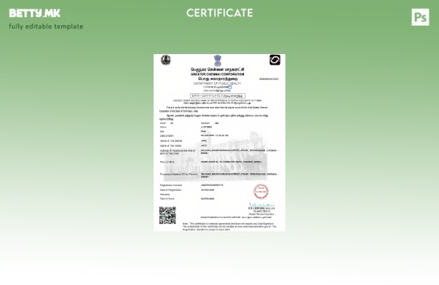 Модерен стил, шаблон за извод од матична книга на родените во Индија во формат P